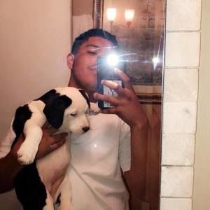 Meet your Posher, Lorenzo